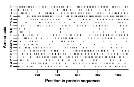 amino acid map