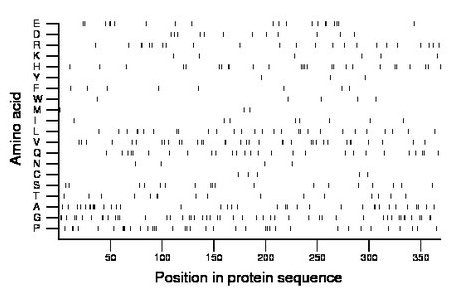 amino acid map