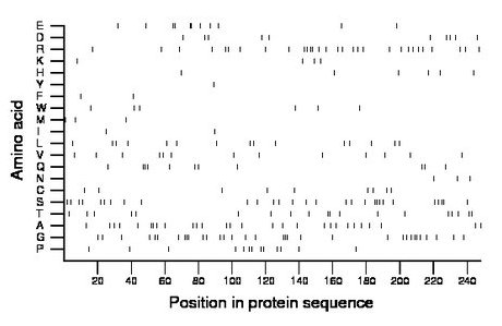 amino acid map