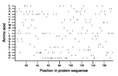 amino acid map