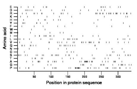 amino acid map