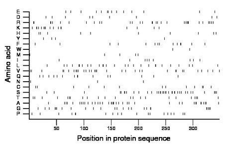 amino acid map