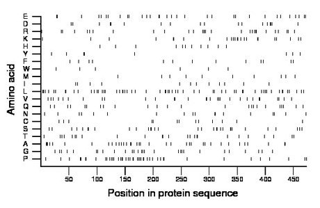 amino acid map