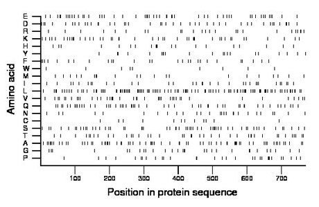 amino acid map