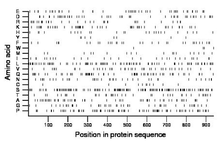 amino acid map