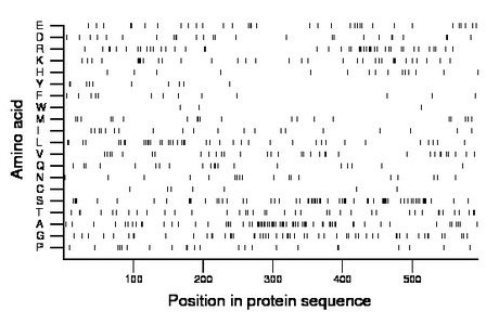 amino acid map