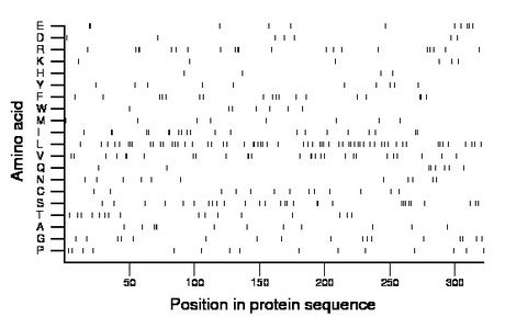 amino acid map