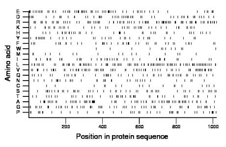 amino acid map