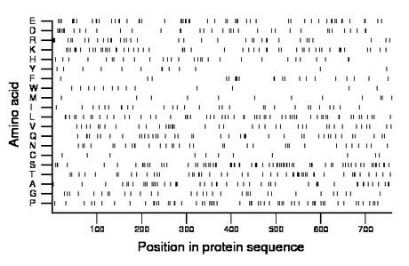 amino acid map