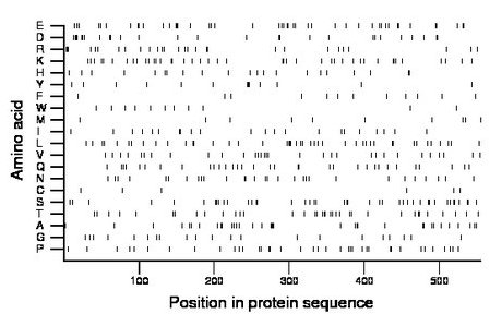 amino acid map