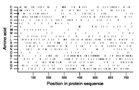 amino acid map