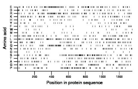 amino acid map