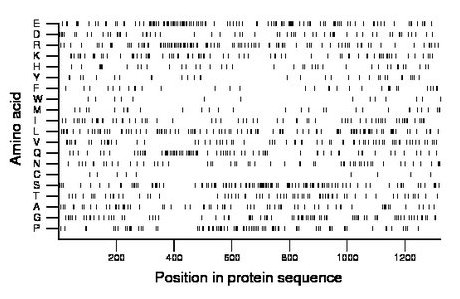 amino acid map