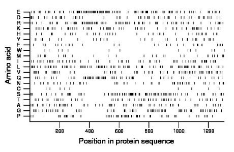 amino acid map