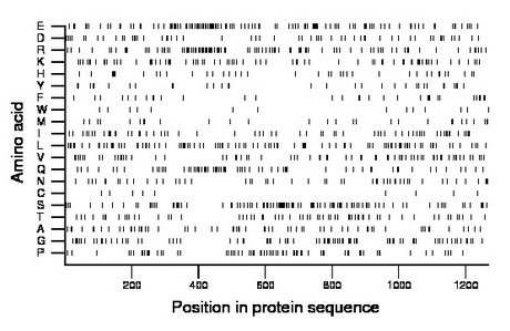 amino acid map