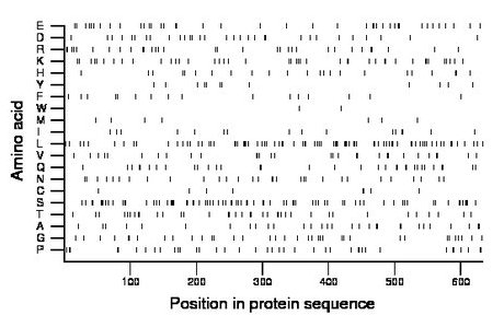 amino acid map