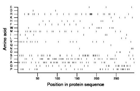 amino acid map