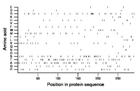 amino acid map