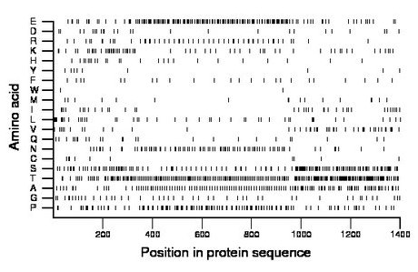 amino acid map