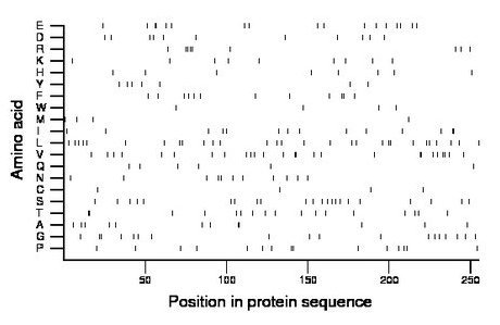 amino acid map