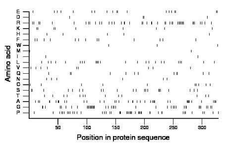 amino acid map