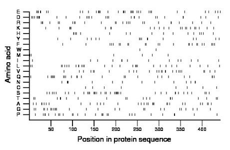 amino acid map