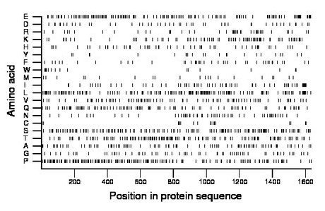 amino acid map