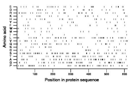 amino acid map