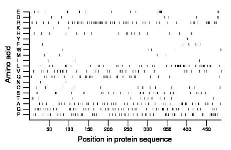 amino acid map