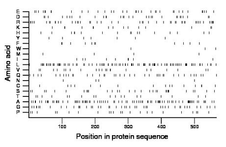 amino acid map