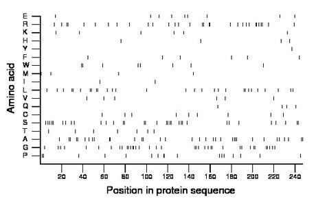 amino acid map