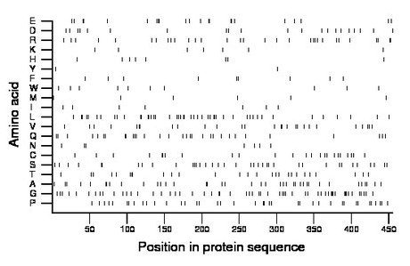 amino acid map