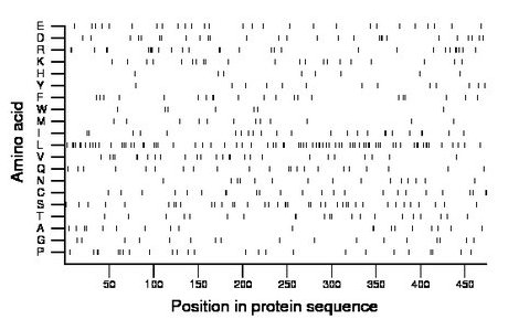 amino acid map