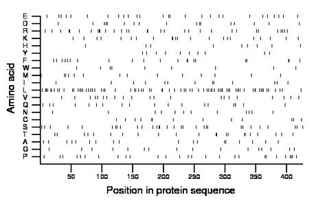 amino acid map