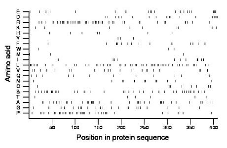 amino acid map