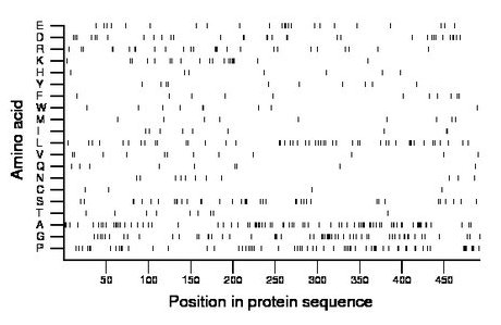 amino acid map