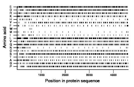 amino acid map