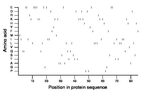 amino acid map