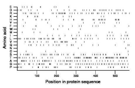 amino acid map