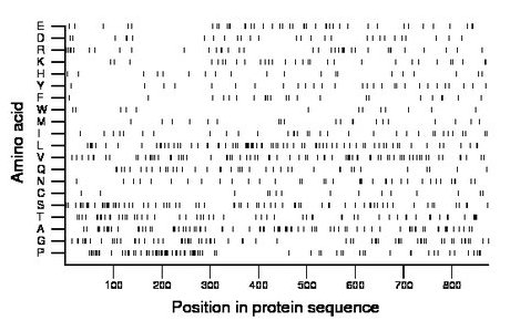 amino acid map