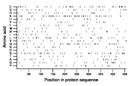 amino acid map