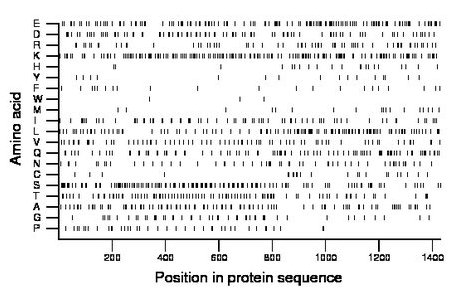 amino acid map