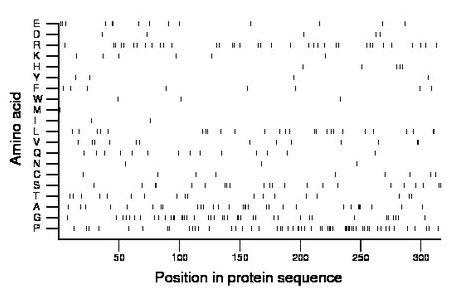 amino acid map