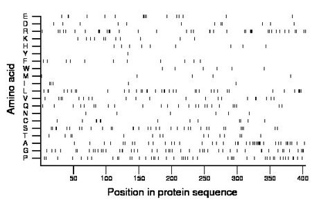 amino acid map