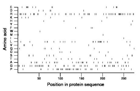 amino acid map