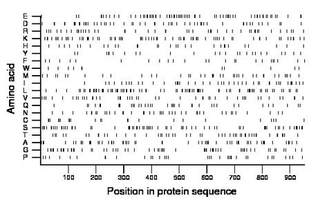 amino acid map