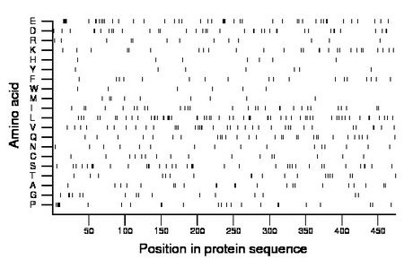 amino acid map