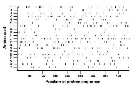 amino acid map