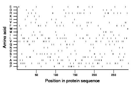 amino acid map