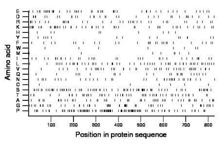 amino acid map